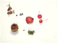Der Putzroboter (Kastanienstillleben), 2019, Aquarell und Grafit auf Hadernbütten