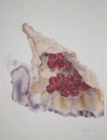 Kirschentüte, 2009, Aquarell und Graphit auf Hadern