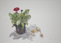 Tausendschönchen, 2009, Aquarell und Graphit auf Hadern