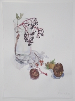 Holunderzweig, Marone und Kastanienkörbchen, 2013, Aquarell und Graphit auf Hadern