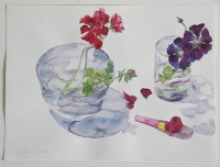 Pelargonienblüte und Clematiszweig, 2013, Aquarell und Graphit auf Hadern