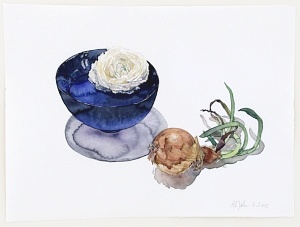 Ranunkel in japanischer Schale mit Küchenzwiebel (Ranunculus asiaticus/ allium cepa), 2015, Aquarell und Graphit auf Hadern