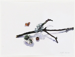 Die Wohnung der Haselmaus (Fraxinus excelsior), 2014, Aquarell und Graphit auf Hadern