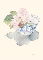 Wildrose in chinesischer Schale, 2004, Aquarell und Graphit auf Hadern