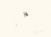 Aus der Serie: Die Fliegen, 2006/07, Monotypie, Öl auf Japan-Simili-Papier, Plattenformat ca. 7x10 cm